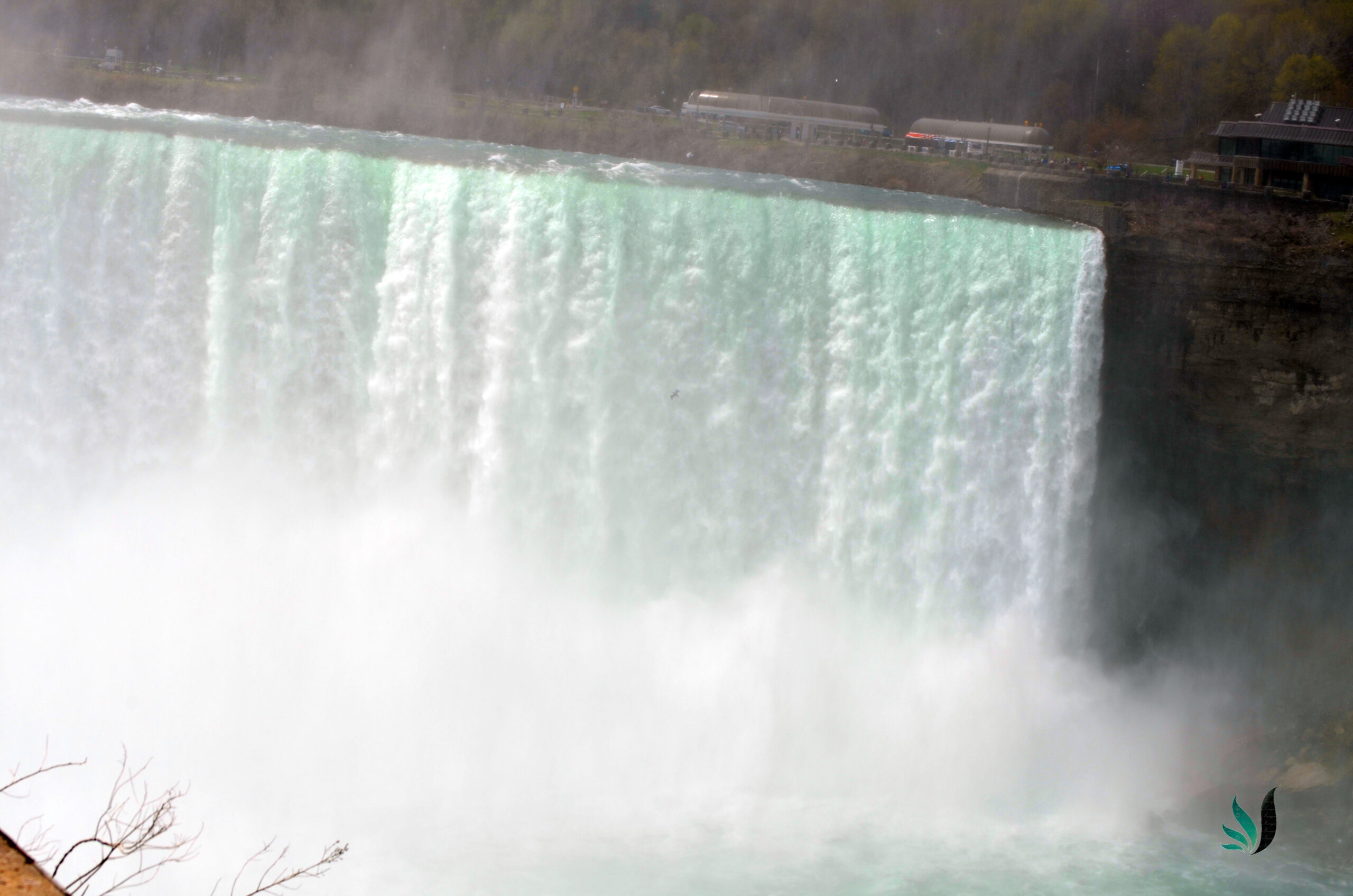 niagra12
