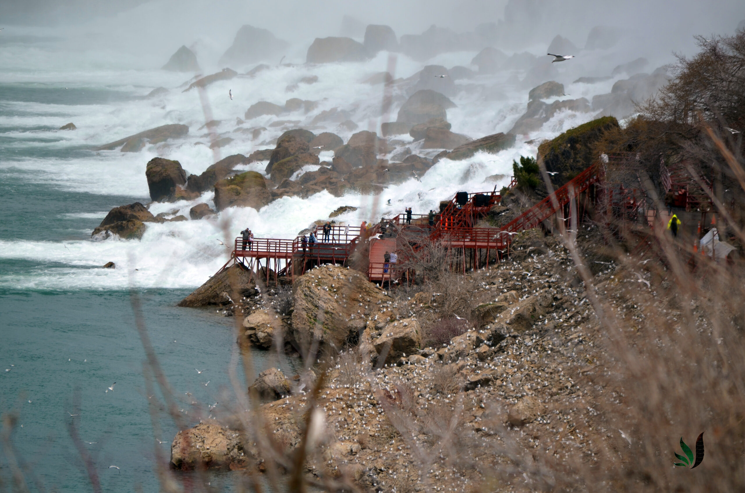 niagra13