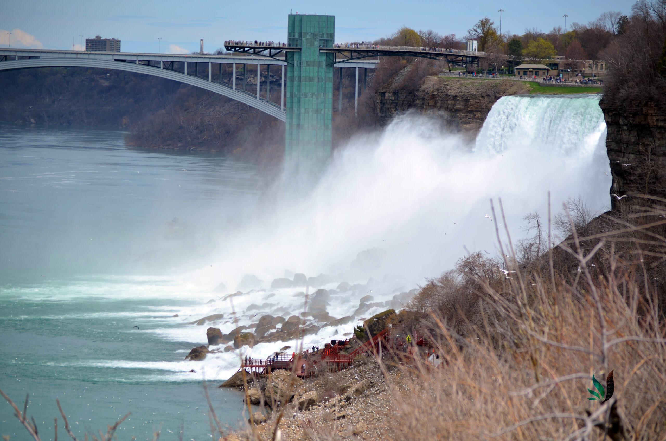 niagra14