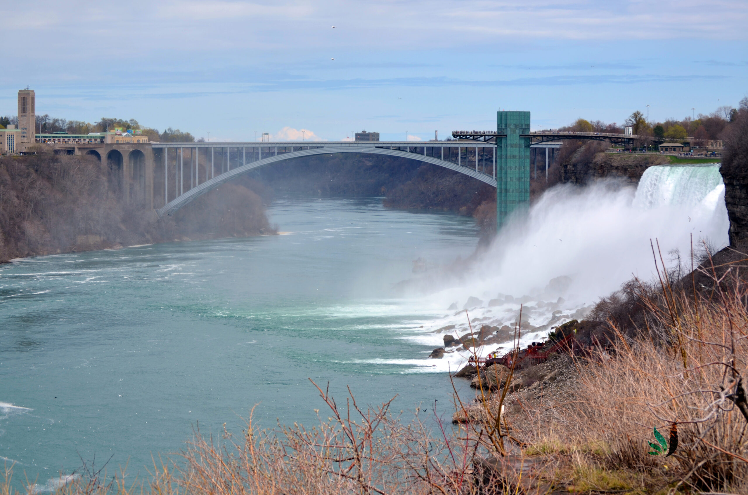 niagra16