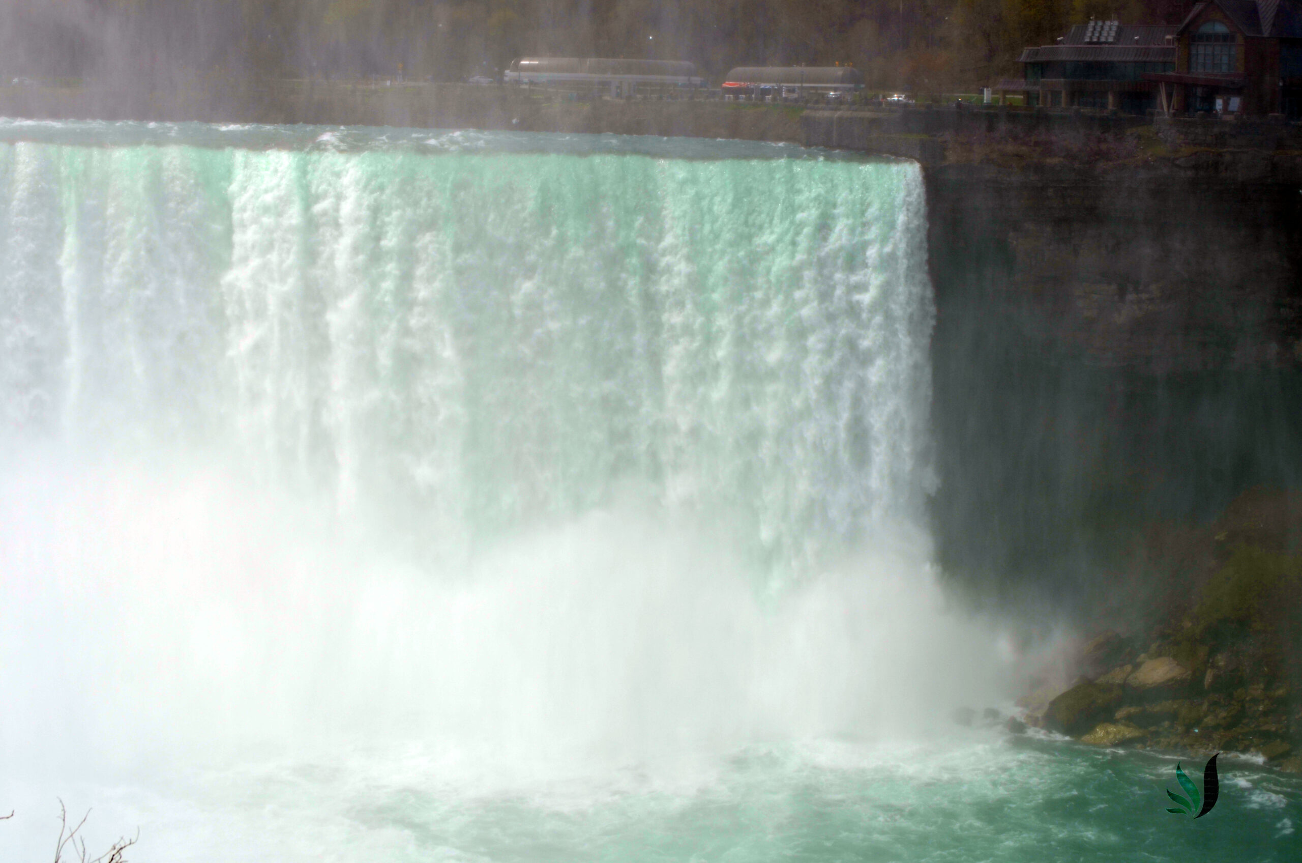 niagra17