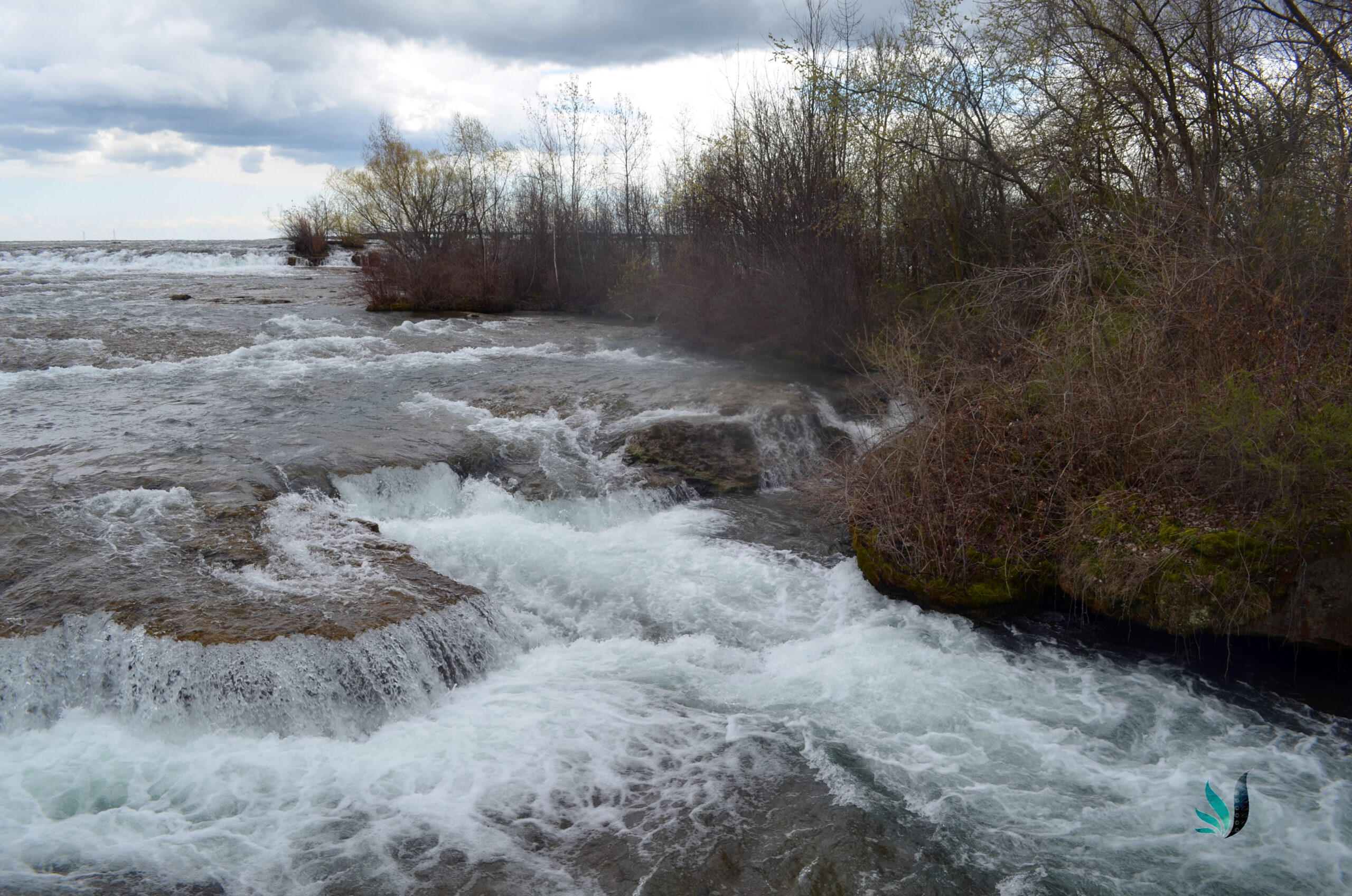 niagra18