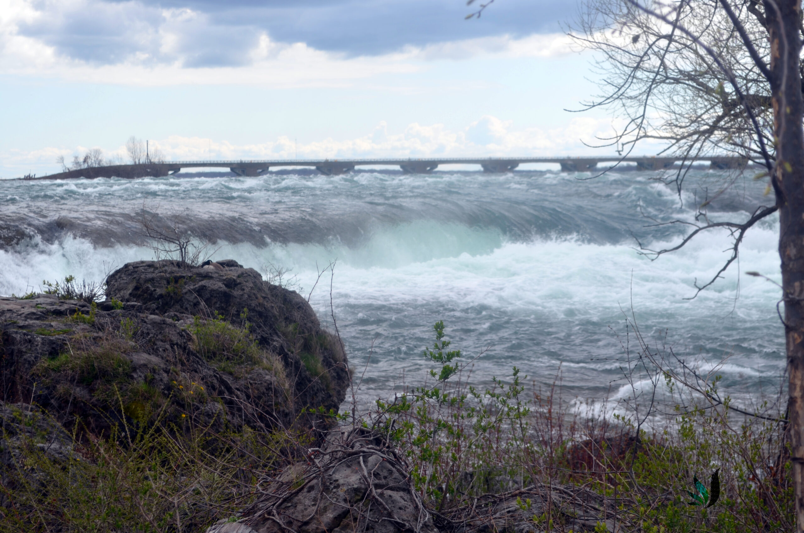 niagra20