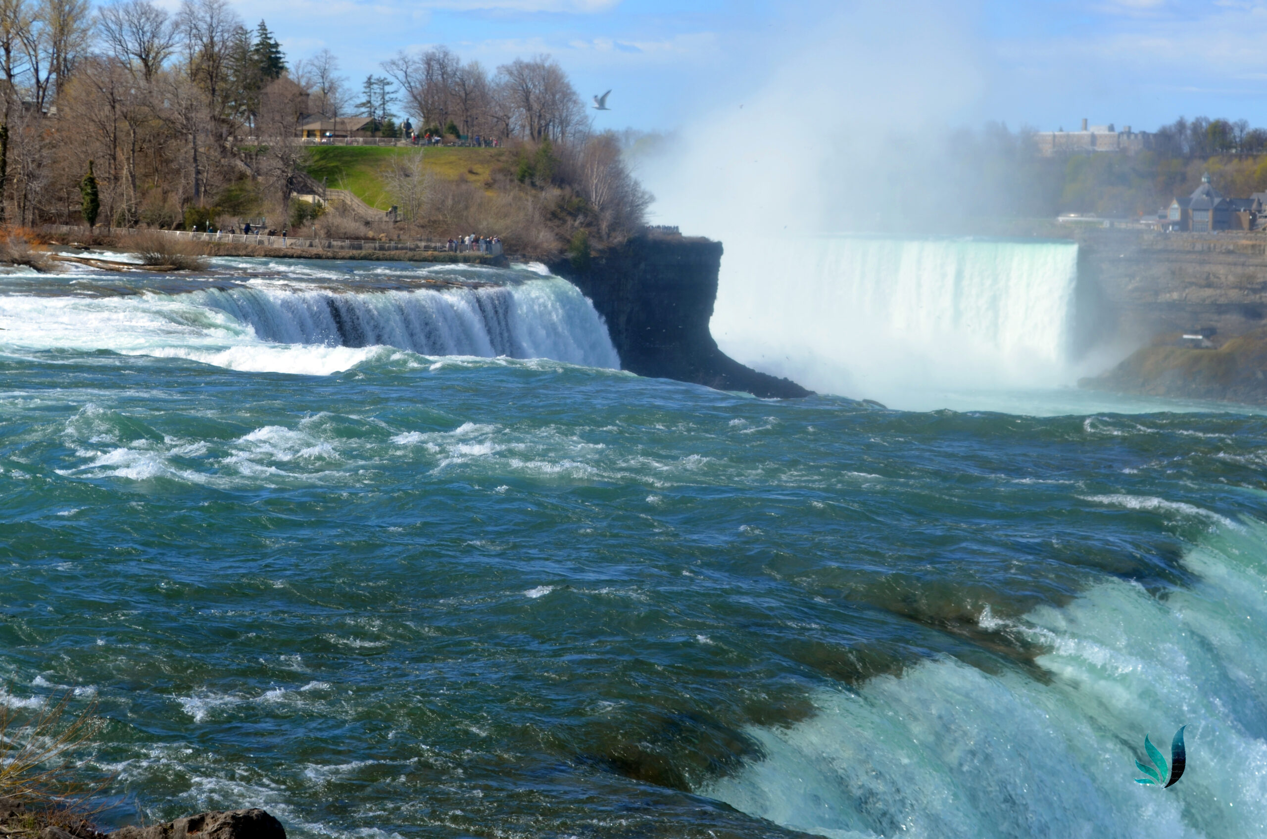 niagra26